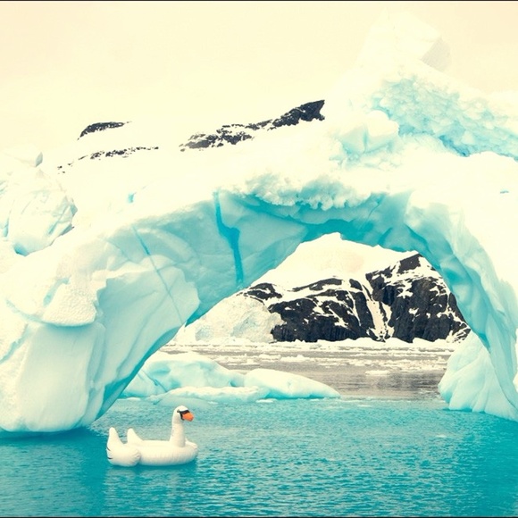 Meet your Posher - Picture 1 of 1